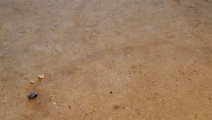 Marble-Floor-Before Marble Floor - Before