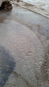 Terrazzo-Floor-Before